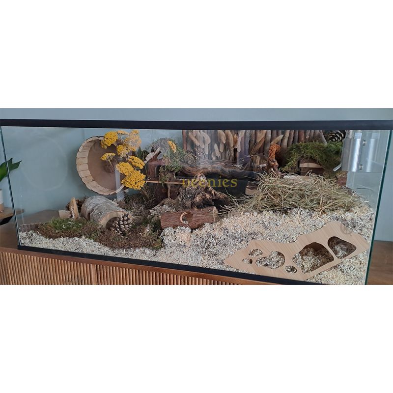 Hamster Terrarium 100x40x40 cm