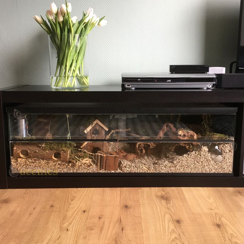 Compact Hamster Terrarium 80x40x40 cm