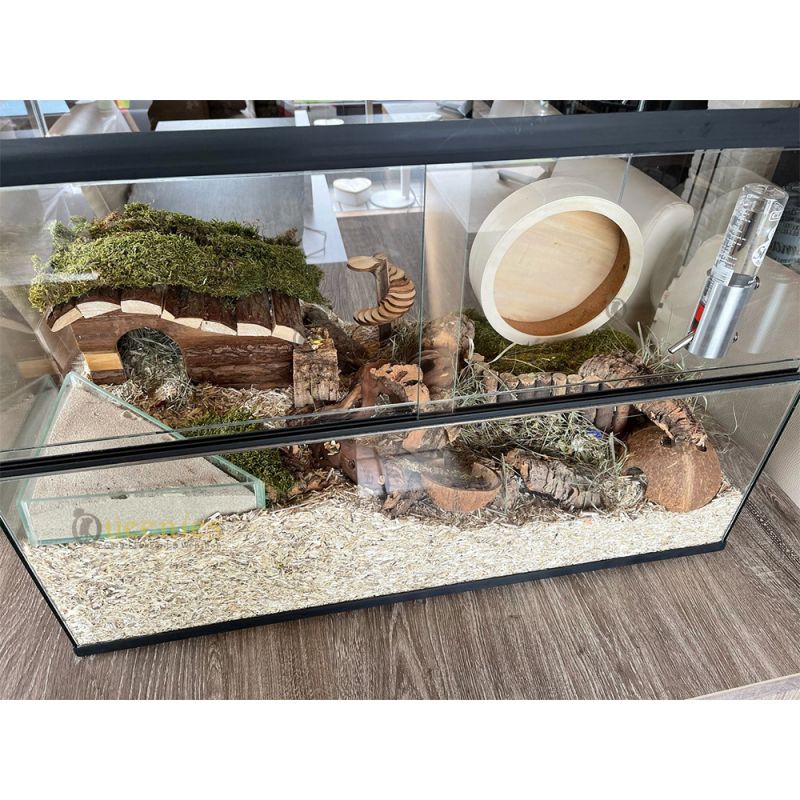 Hamster Terrarium 75x40x50 cm - Natuurlijke Inrichting