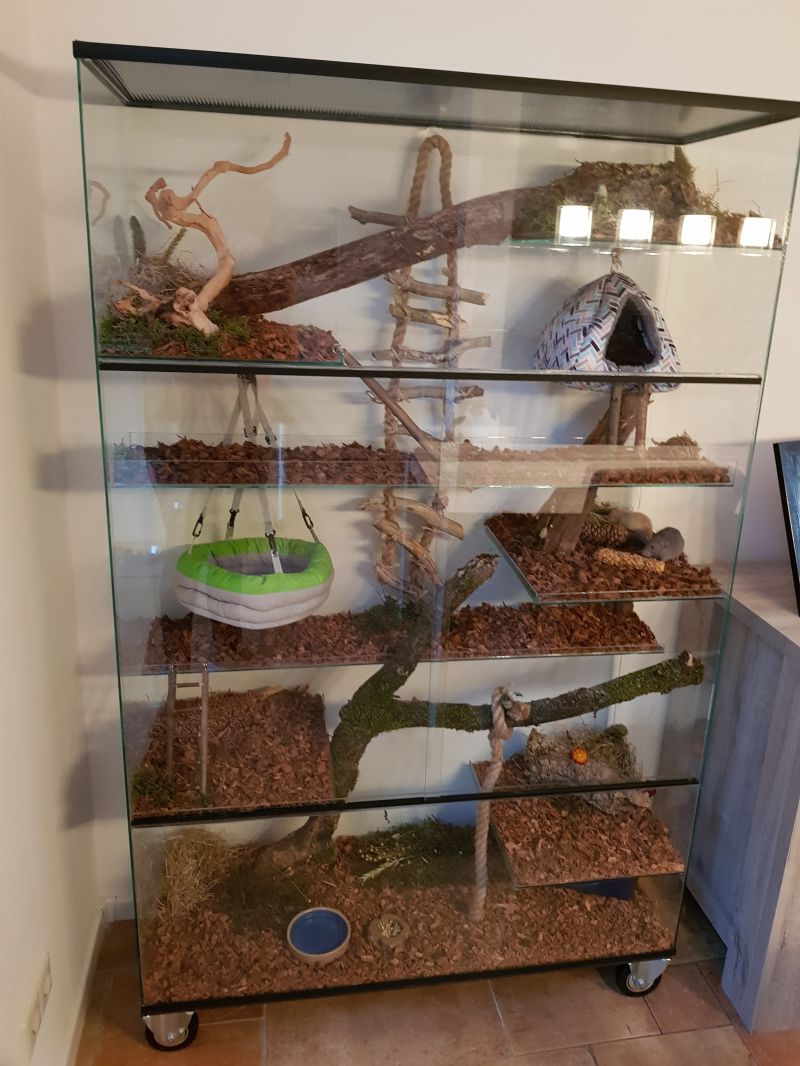 Ratten Terrarium 105x40x160