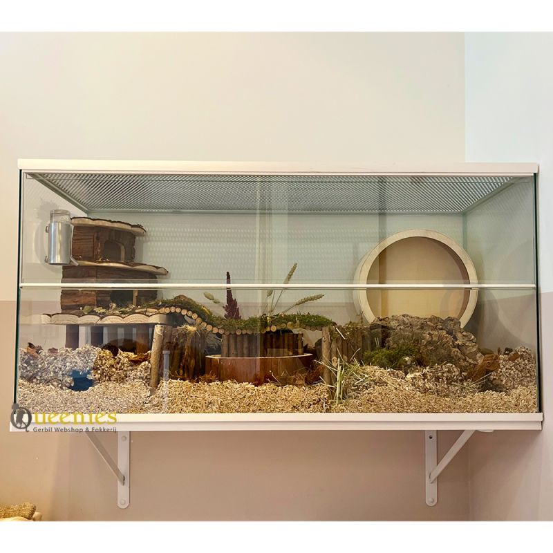 Glazen terrarium voor Hamsters met witte profielen - 100x40x50 cm