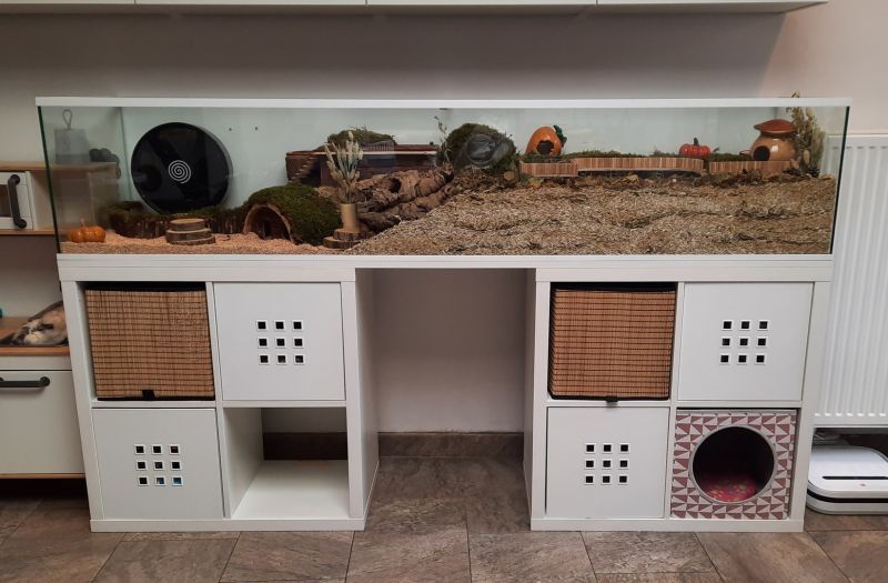 Glazen terrarium met meubel voor Hamsters - 150x40x50 cm