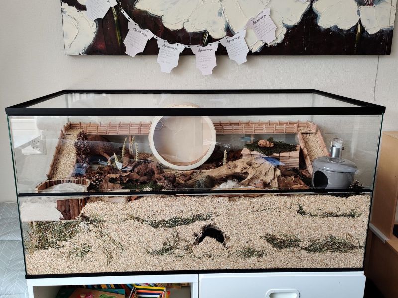 Glazen terrarium voor Hamsters - 120x60x60 cm